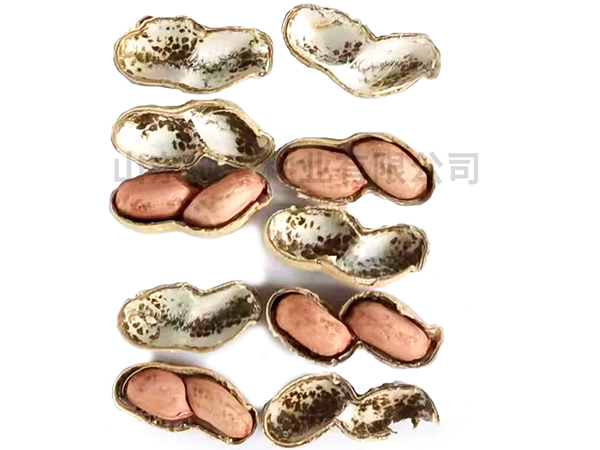 濰花25號生產(chǎn)