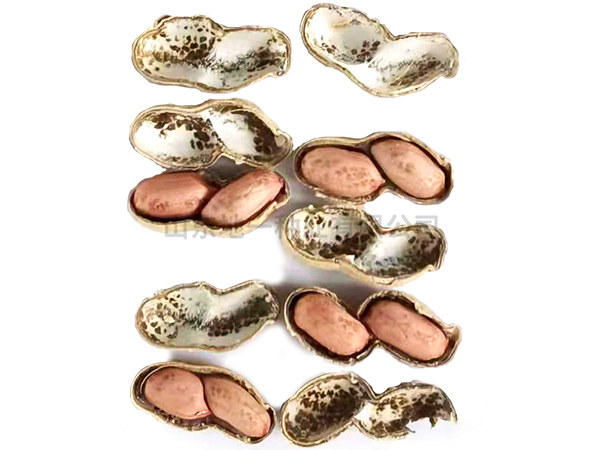 濰花25號批發(fā)